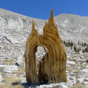 SouthernSierra 214 : SouthernSierra